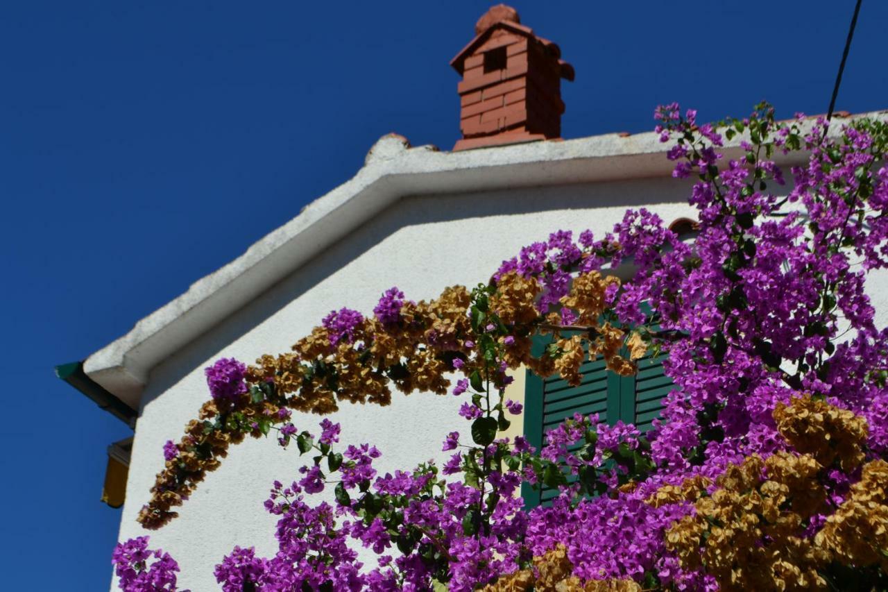 House Niva Apartment Supetarska Draga Exterior foto